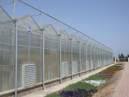 連體陽光板溫室