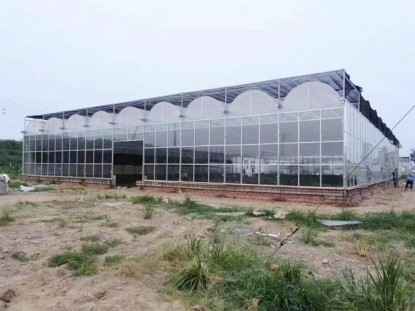單棟薄膜溫室