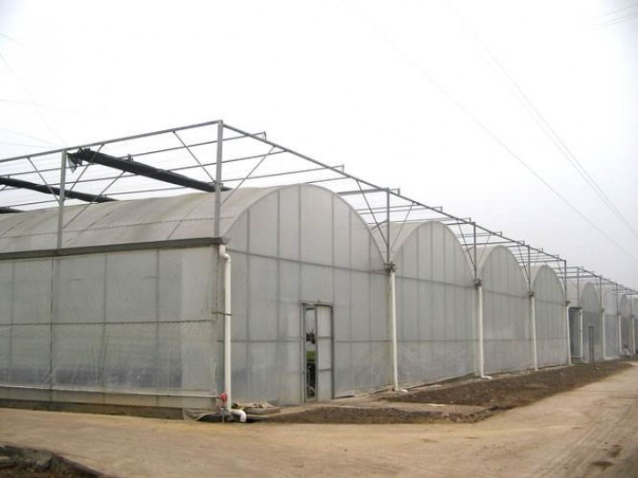 拱形薄膜溫室