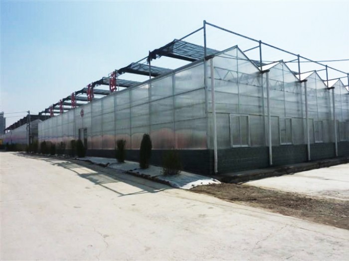 單體陽光板溫室