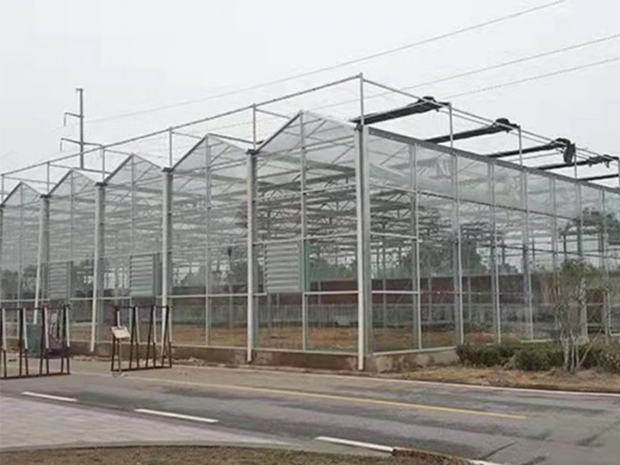 連棟玻璃溫室