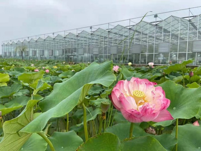 智能生態(tài)餐廳