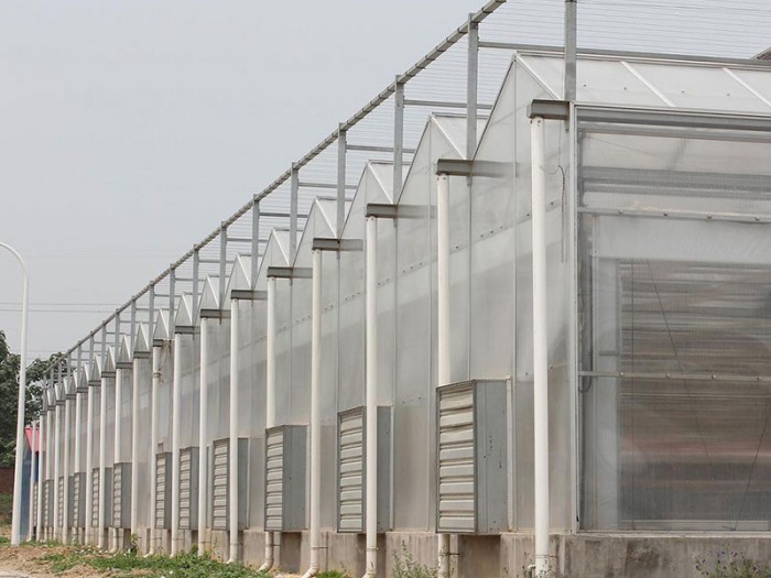 智能陽(yáng)光板溫室