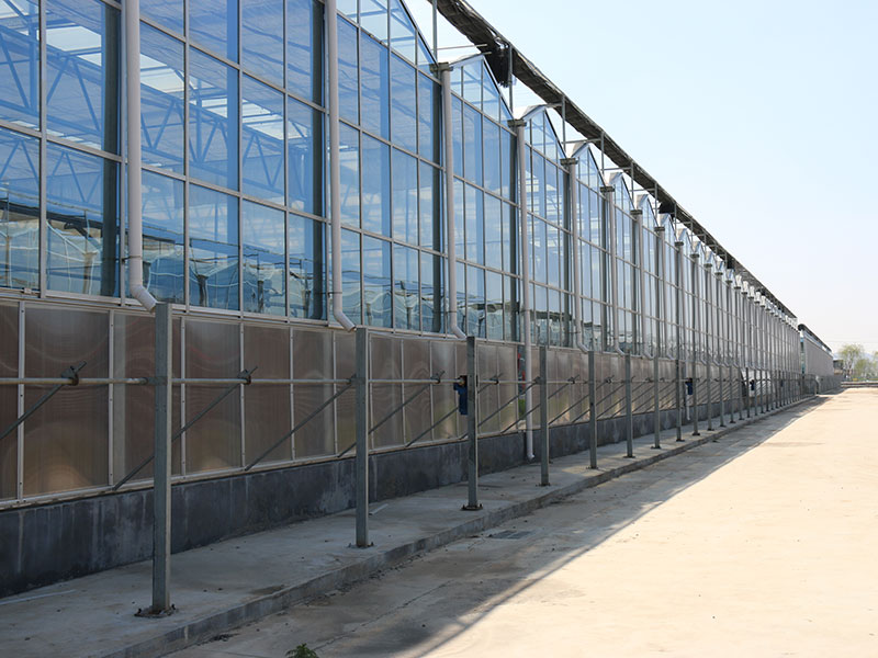 工程案例-青州市澤源農(nóng)業(yè)科技有限公司