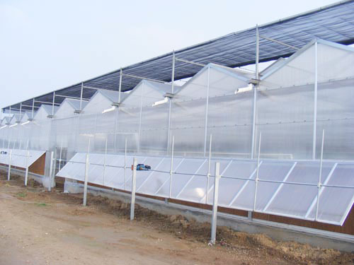 工程案例-青州市澤源農業科技有限公司